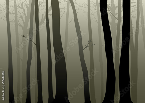 Vector illustration of woods