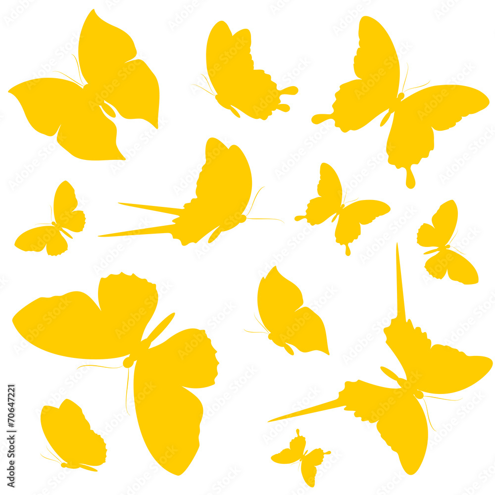 Fototapeta premium butterflies design