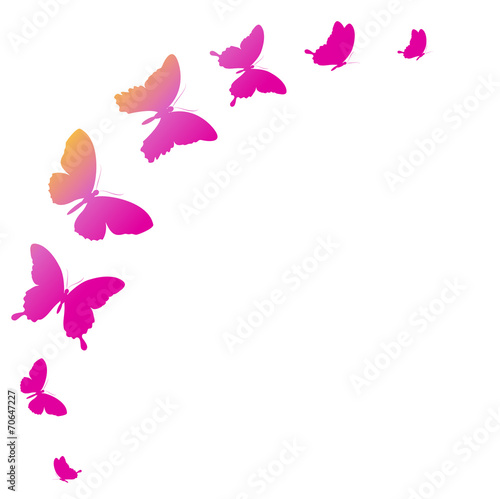 butterflies design