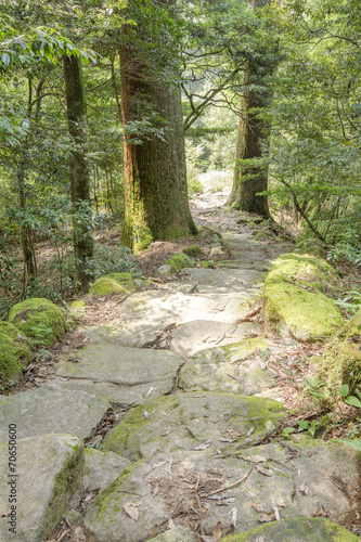 市房山の石段と市房杉