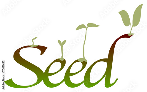 Seed