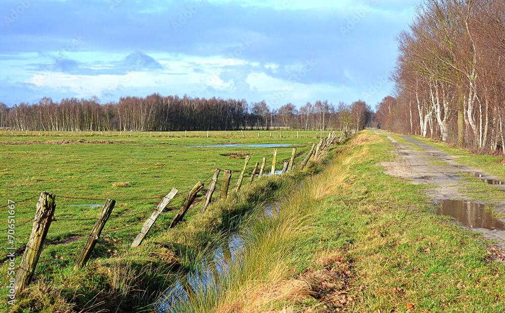 Moor Feuchtgebietgebiet in Niedersachsen bei Diepholz Moor Feuchtgebietgebiet in Niedersachsen bei Diepholz