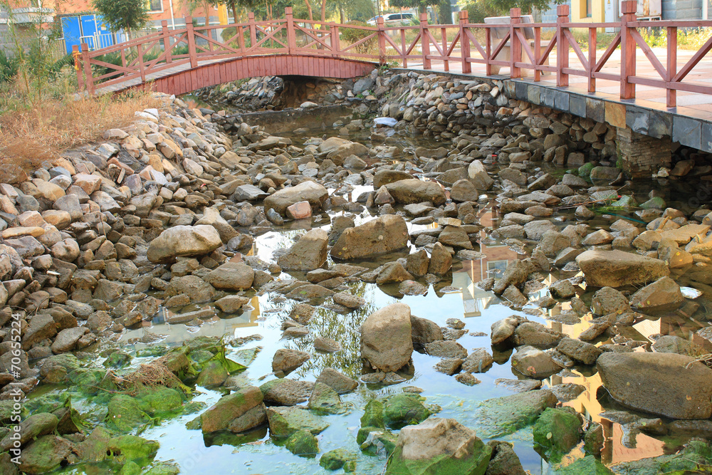 Chinese garden