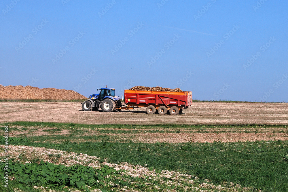 Obraz premium Tracteur et remorque