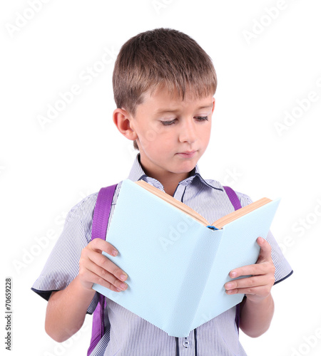 Little schoolboy isolated o...