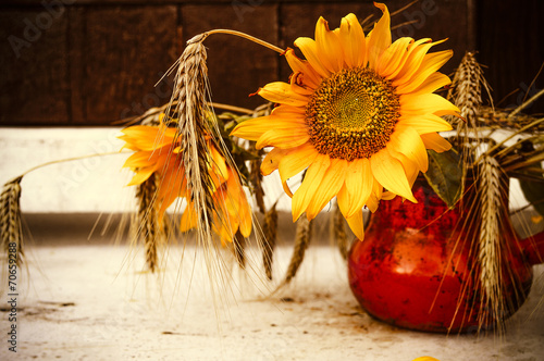 Girasoli e grano