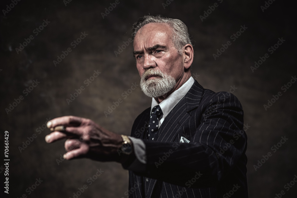 Cigar smoking characteristic senior business man with gray hair