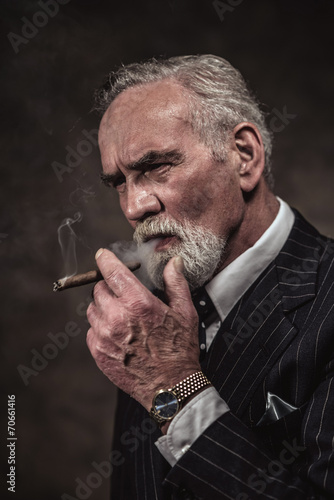 Obraz na plátně Cigar smoking characteristic senior business man with gray hair