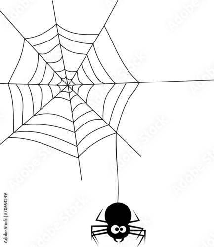 Spinne