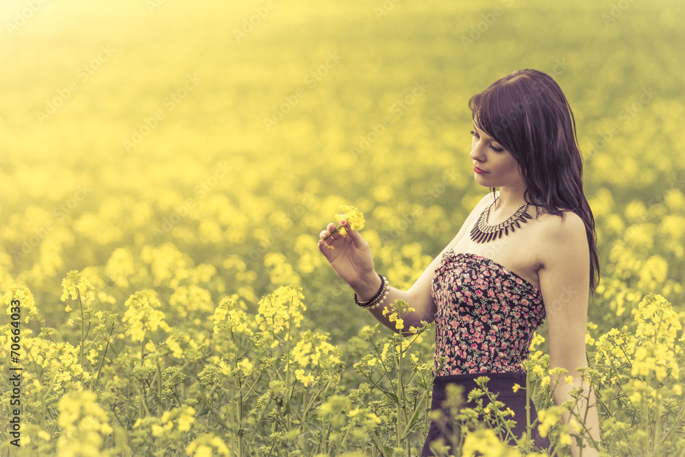 Beautiful woman in meadow of yellow flowers looking at flower Beautiful woman in meadow of yellow flowers looking at flower