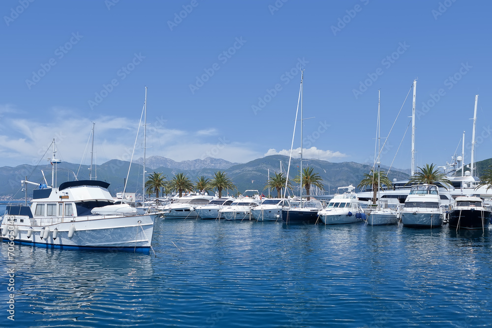 Boats in marina, Montenegro, Adriatic Sea