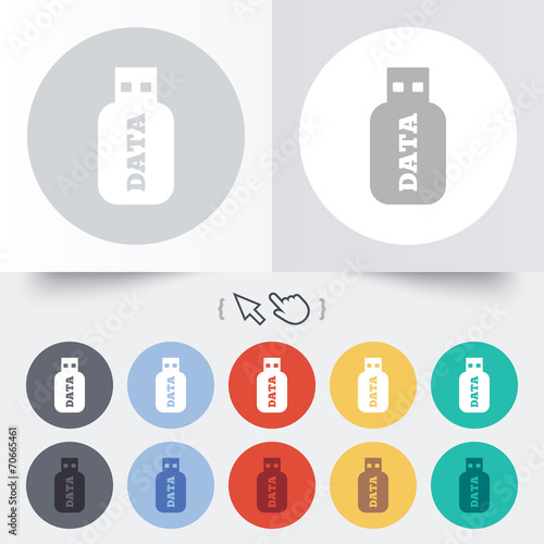 Usb Stick sign icon. Usb flash drive button.