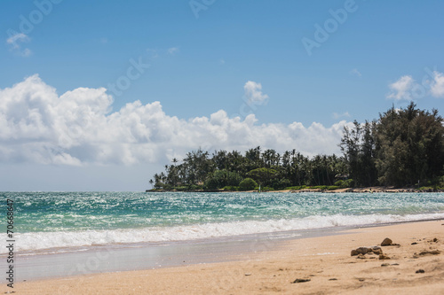 the beach in Maui