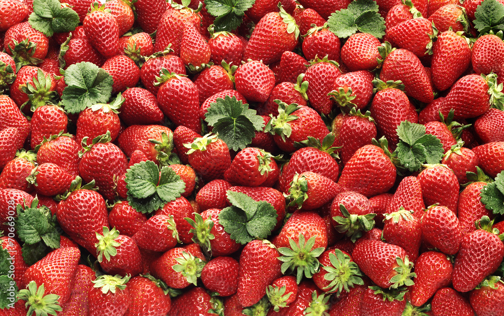 frutta mista frutta mista