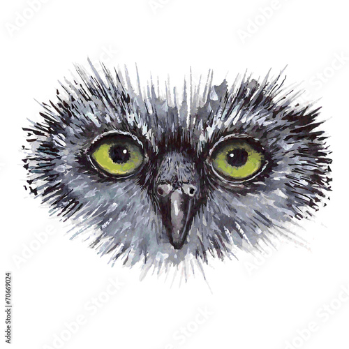 Face owl concept design. Bird are isolated on white background.