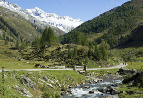 italy landscape of alps photo