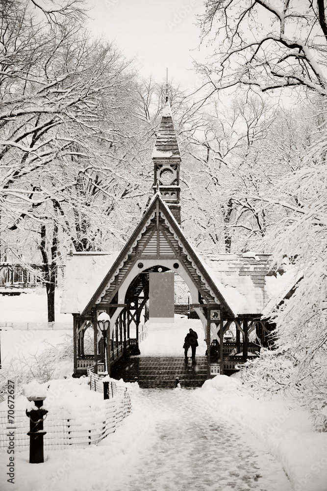 Fototapeta premium Central Park winter