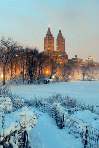 Photography Central Park winter