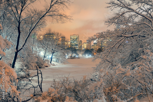 Sticker Central Park winter