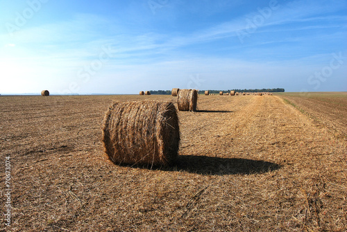 Fotografie Champ et meules de foin