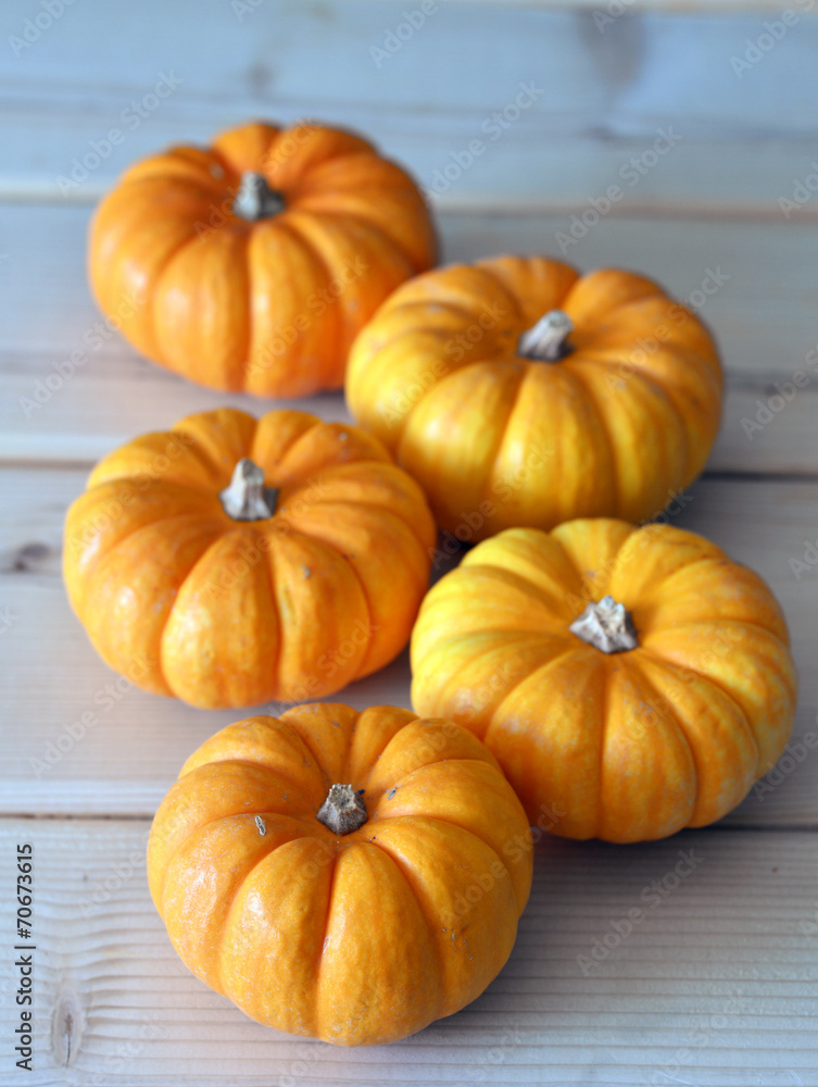 Pumpkin. Pumpkin.