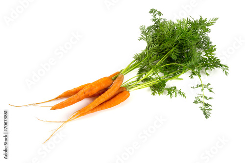 fresh carrots isolated on white