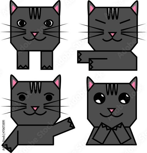 The cat