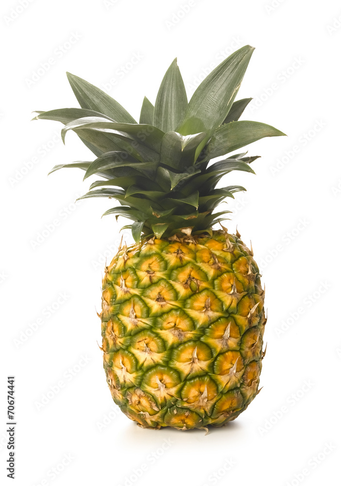 Pineapple Pineapple