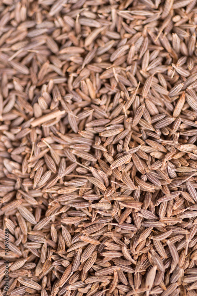 spices spices