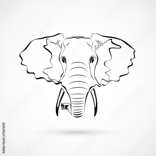 elephant head