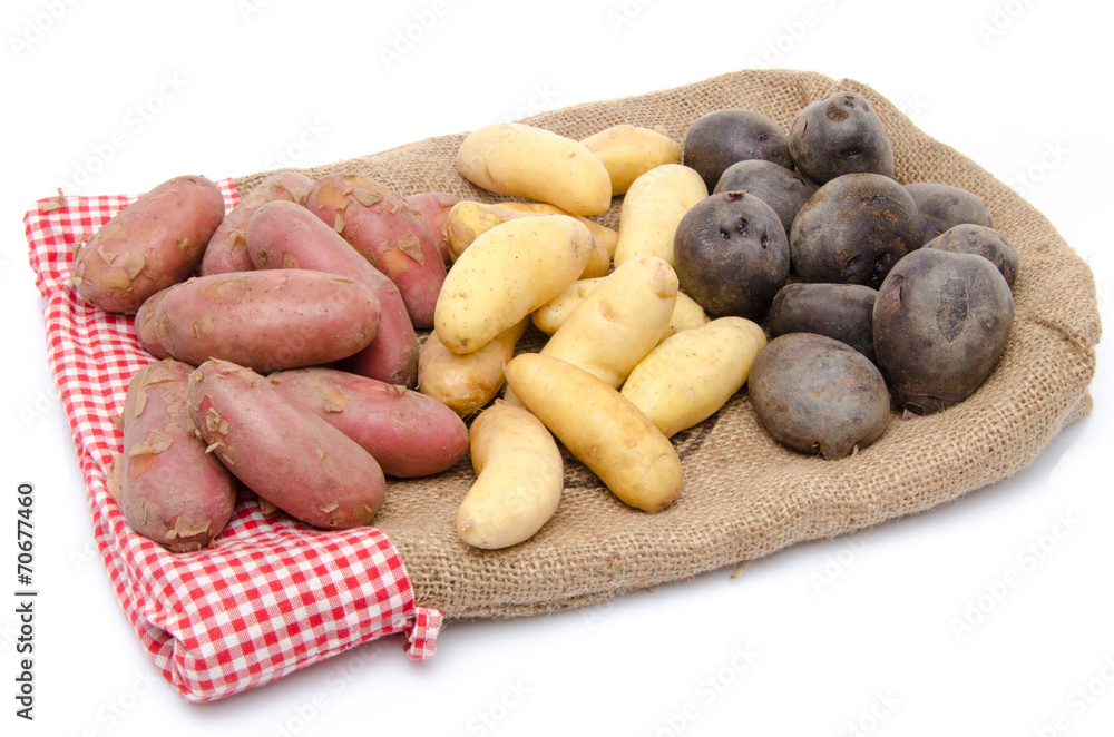 Different varieties of potatoes on a burlap Different varieties of potatoes on a burlap