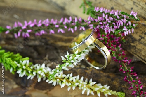 Trauringe mit Calluna Vulgaris auf Holz photo