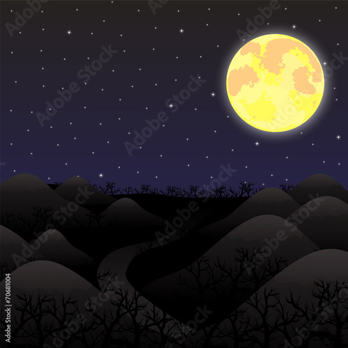 Night landscape in the full moon