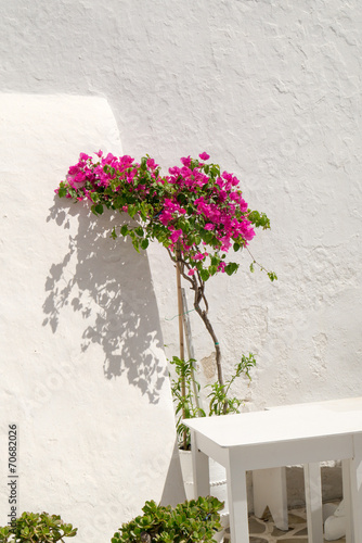 Bougainvillea flowers with a white traditional table. Mykonos