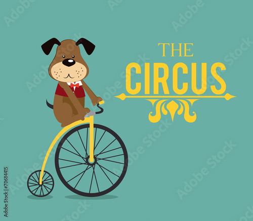 Circus design