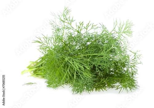 The Bundle of Fresh Dill