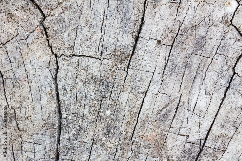 grey stone with cracks on the surface grey stone with cracks on the surface