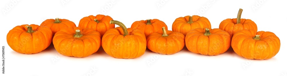 Fototapeta premium Autumn mini pumpkins forming a border over a white background