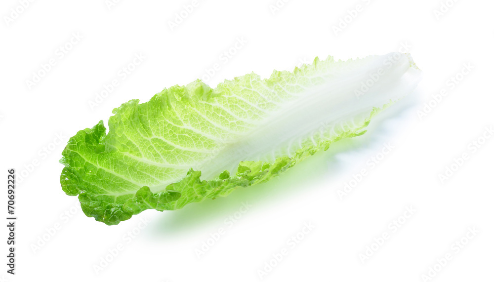 Fresh Lettuce / one leaf isolated on white background Fresh Lettuce / one leaf isolated on white background
