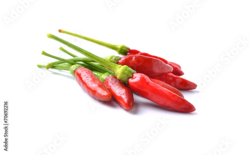 hot chili pepper on a white background