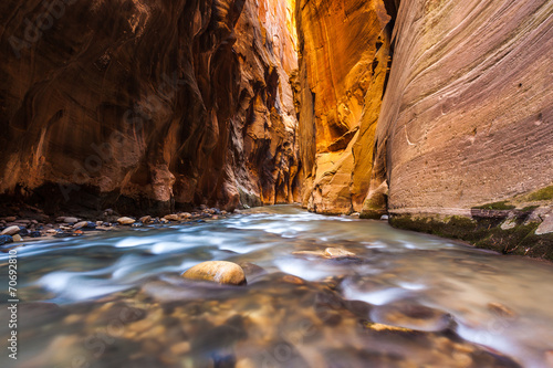 Wall street in the narrows trail, Zion national park