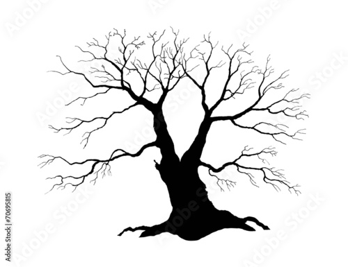 Tree silhouette