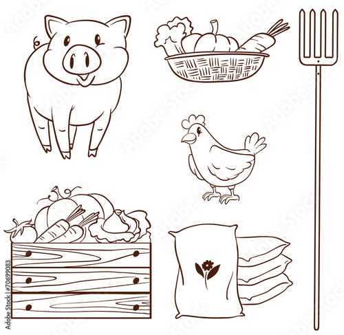 A simple sketch of the farm animals and the harvested vegetables