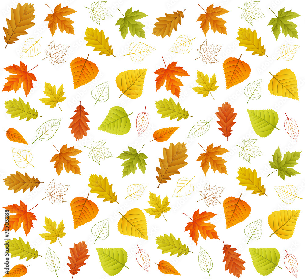 Autumn seamless vector leaf pattern Autumn seamless vector leaf pattern