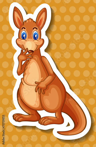 Kangaroo