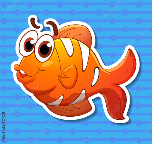Clownfish