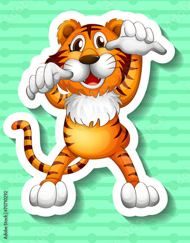 Fototapeta Naklejka Na Ścianę i Meble -  Tiger