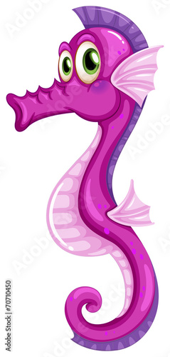 Seahorse