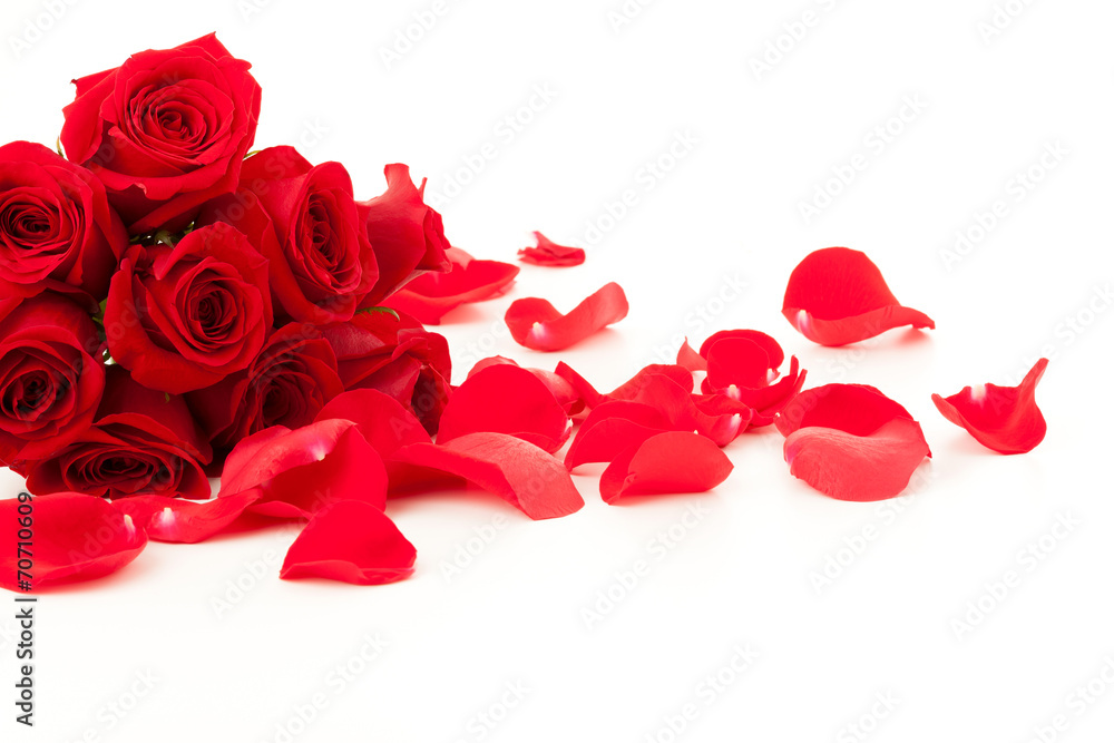 Fototapeta premium Red roses and petals