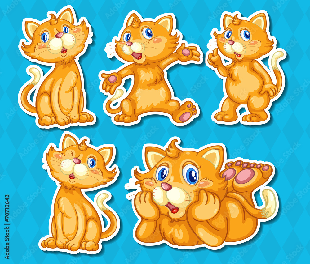 Obraz premium Cats